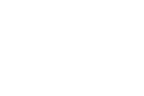techport logo diapositief